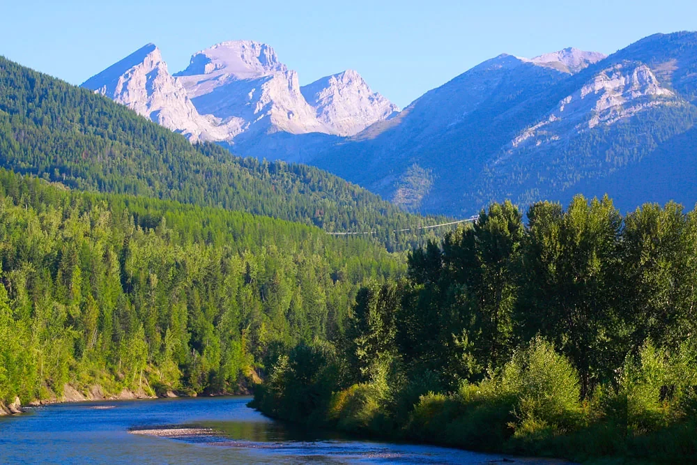 Elk river BC fly fishing